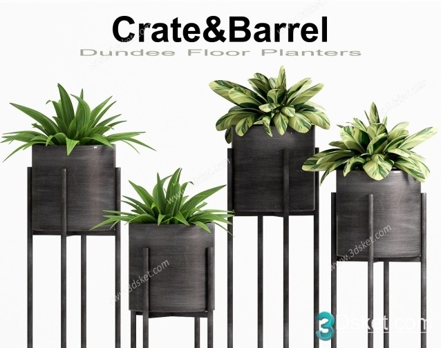 3D Model Indoor Plants Free Download 070