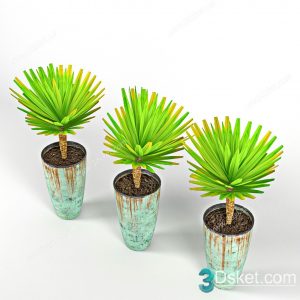 3D Model Indoor Plants Free Download 071