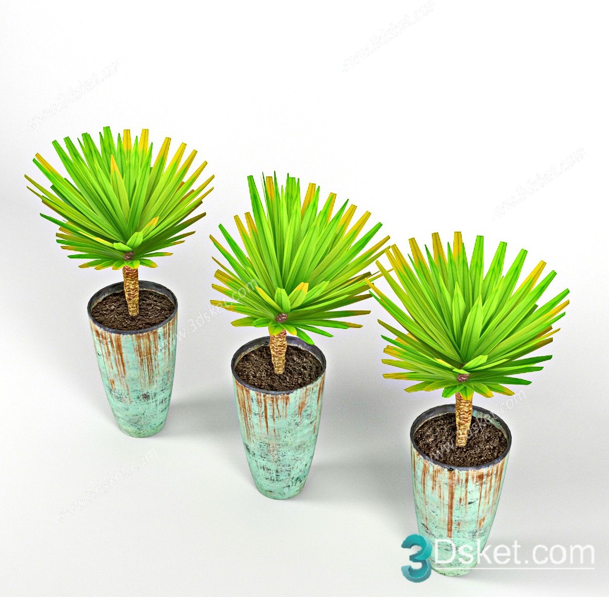 3D Model Indoor Plants Free Download 071