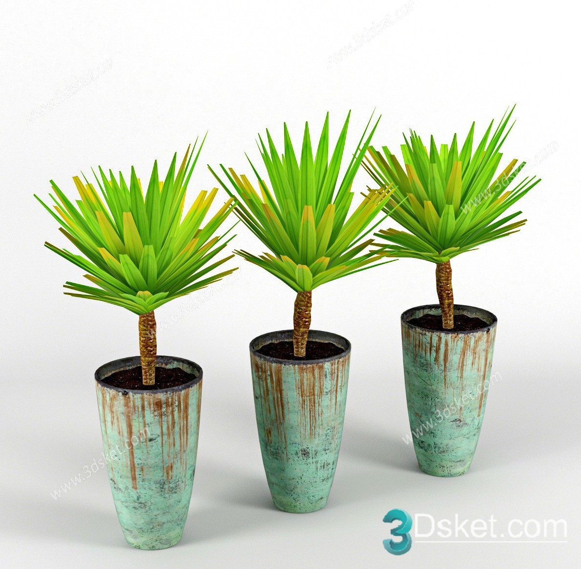 3D Model Indoor Plants Free Download 071