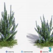 3D Model Indoor Plants Free Download 073