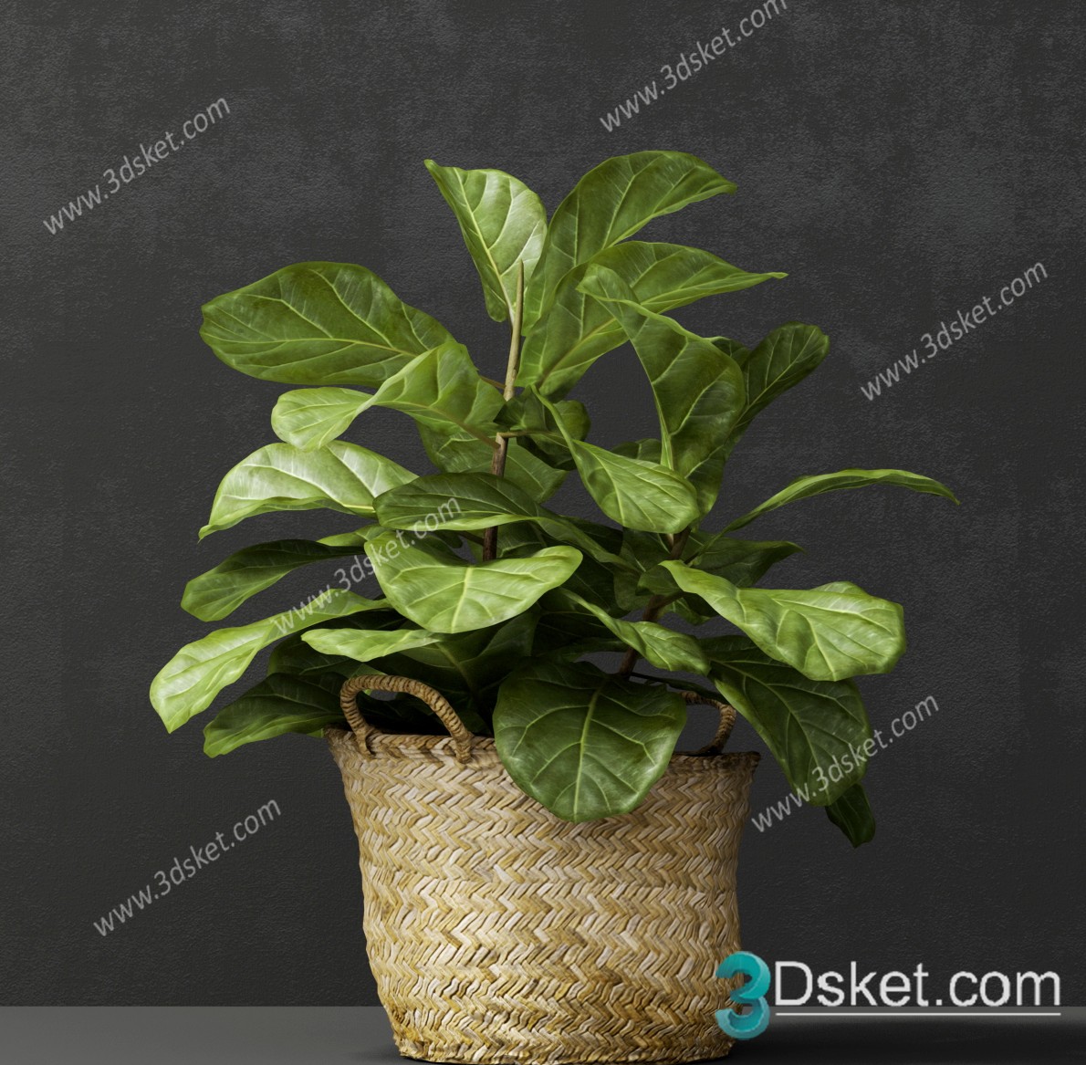 https://3dsket.com/plant/indoor-plants/