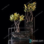 3D Model Indoor Plants Free Download 098