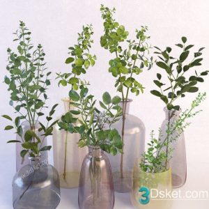 3D Model Indoor Plants Free Download 099
