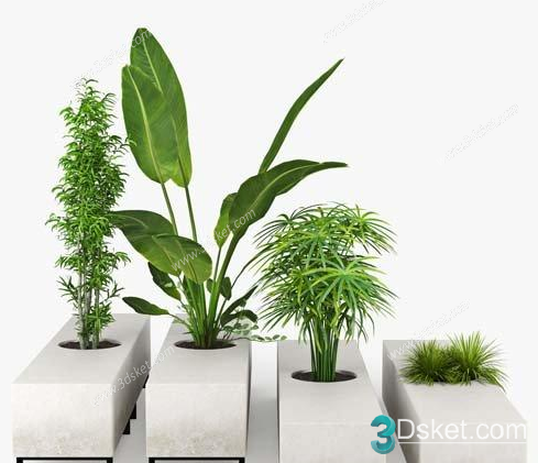 3D Model Indoor Plants Free Download 077