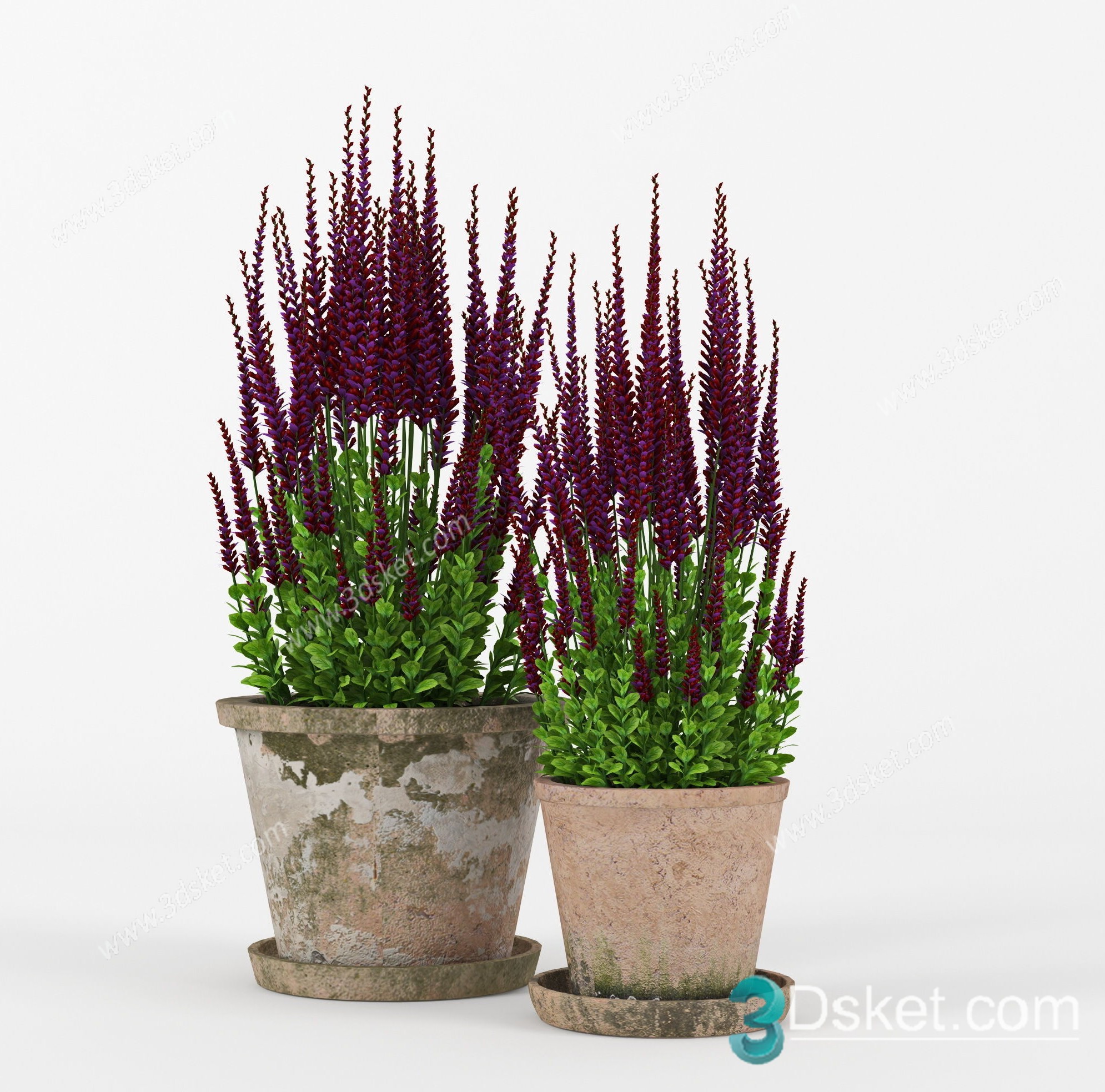 3D Model Indoor Plants Free Download 079