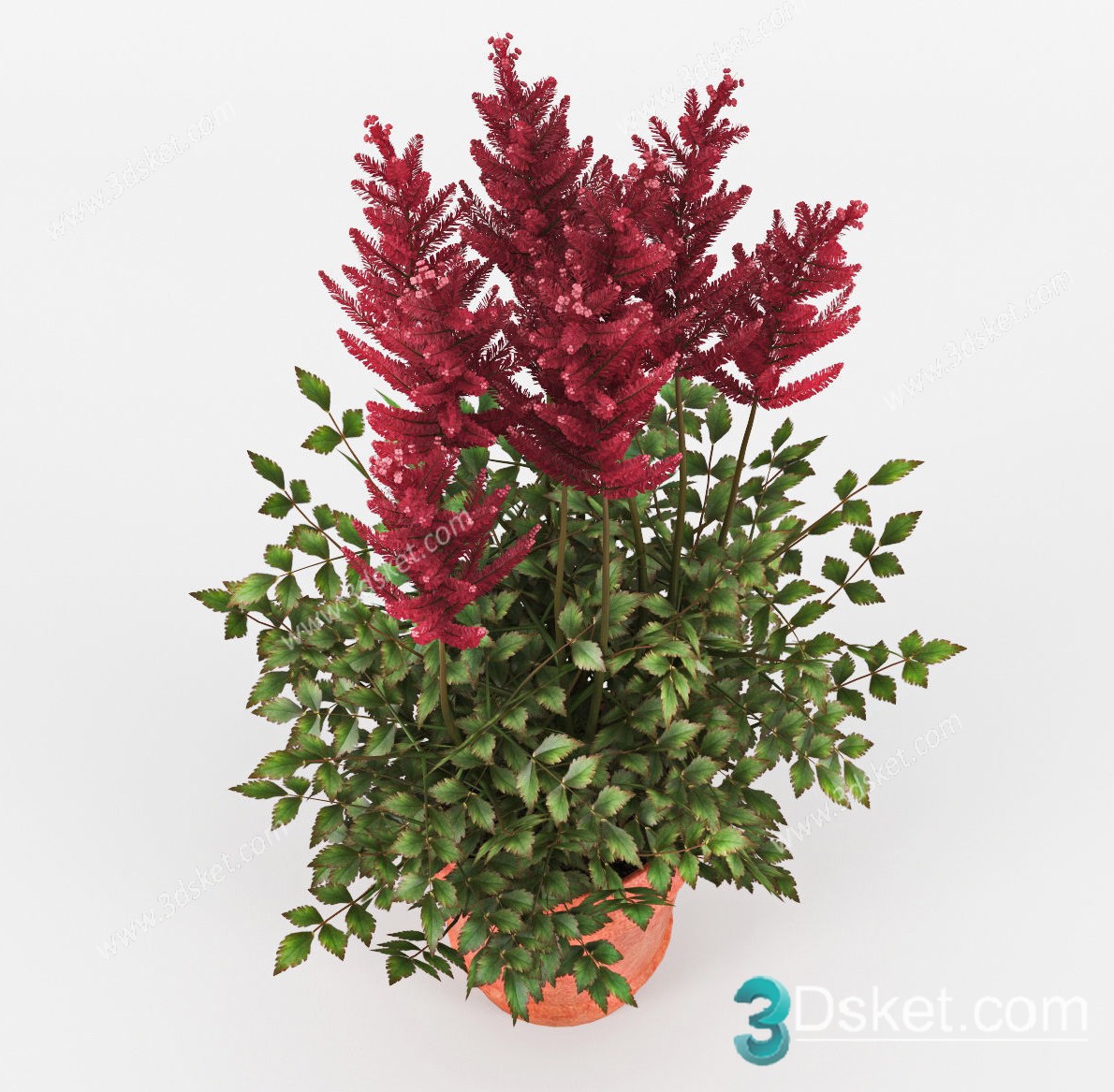 3D Model Indoor Plants Free Download 080