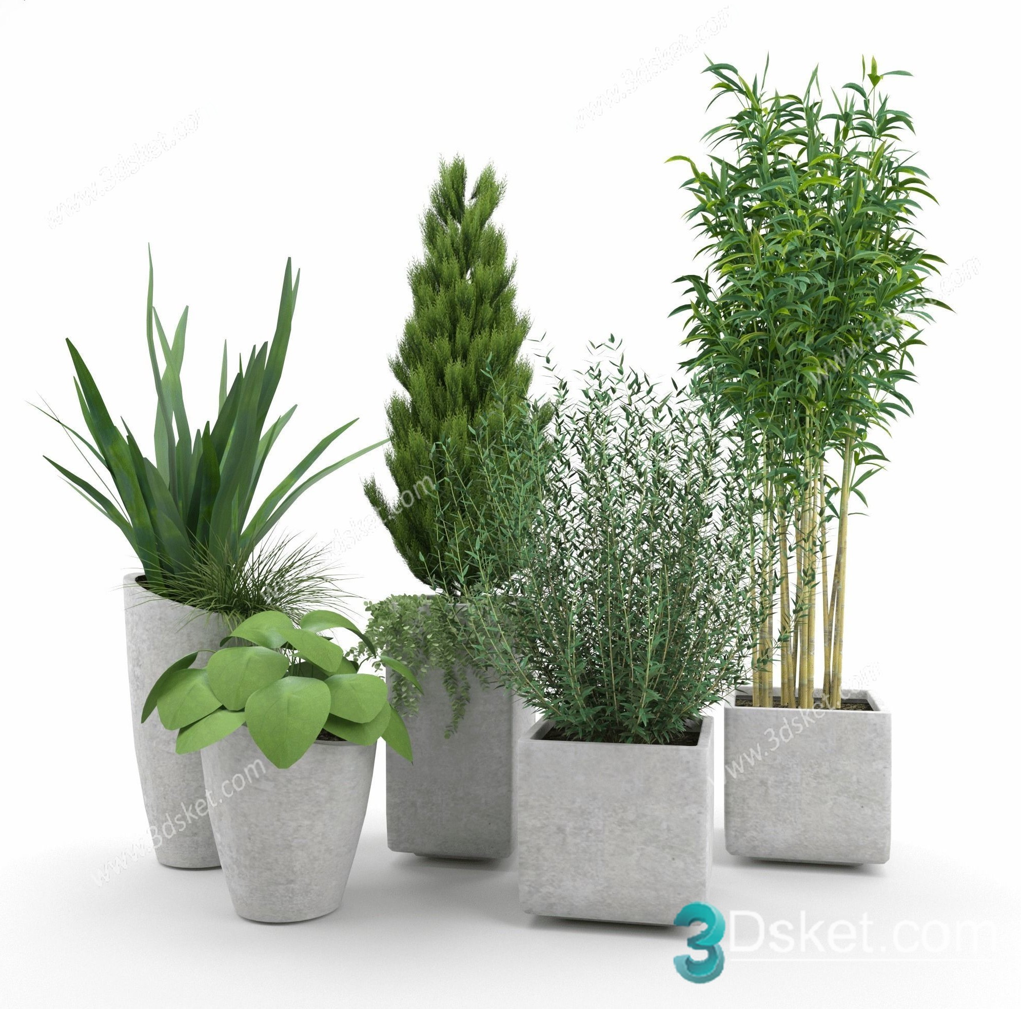 3D Model Indoor Plants Free Download 081