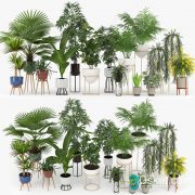 3D Model Indoor Plants Free Download 082