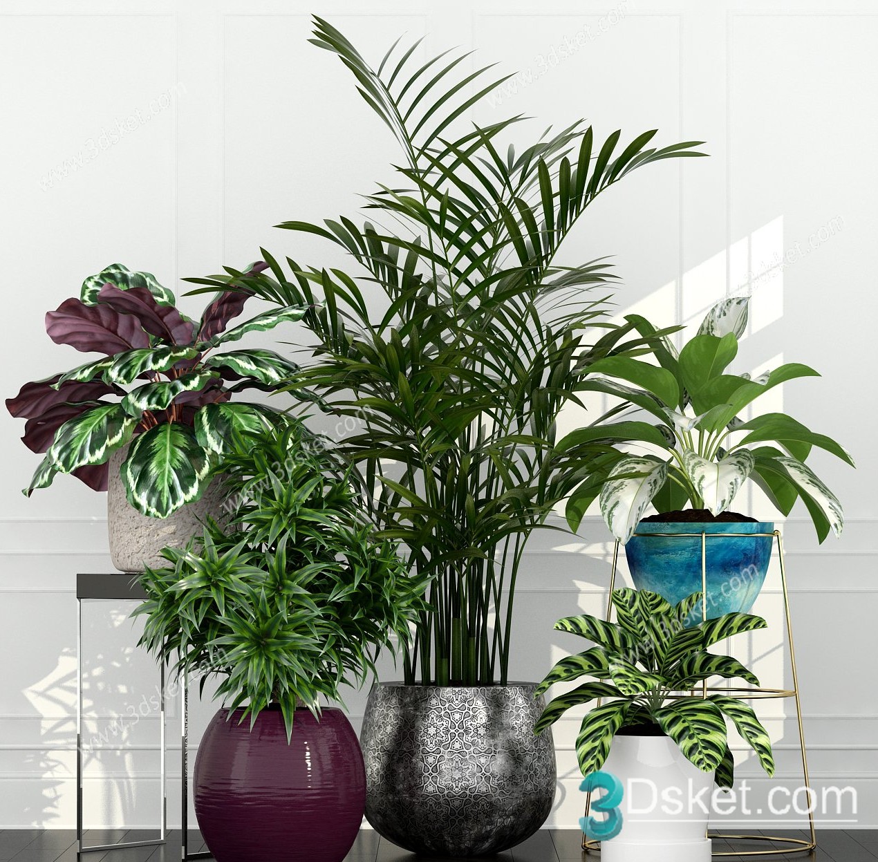3D Model Indoor Plants Free Download 083