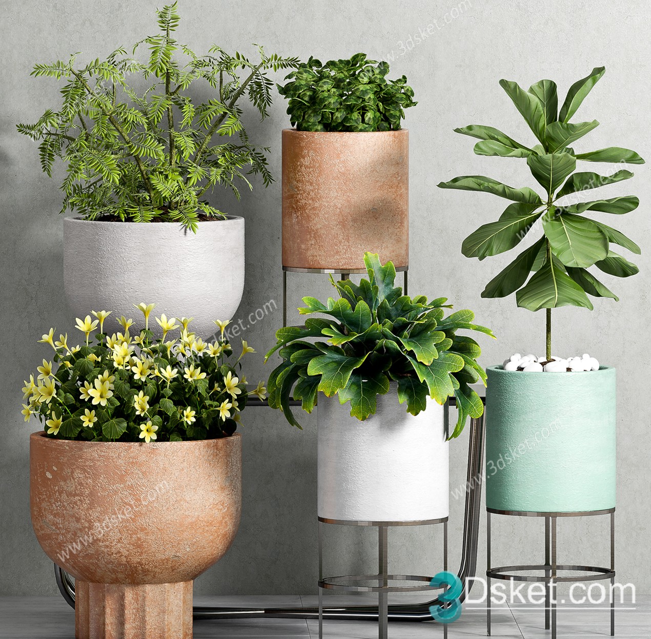 3D Model Indoor Plants Free Download 084