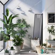 3D Model Indoor Plants Free Download 092