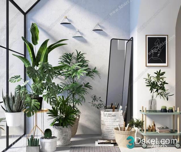 3D Model Indoor Plants Free Download 092