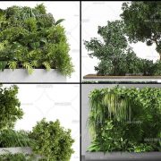 3D Model Outdoor Plants Free Download 033
