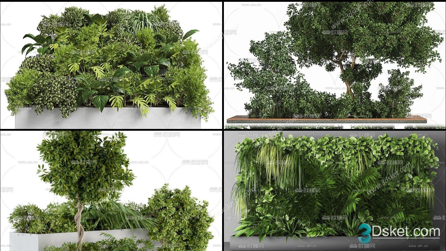 3D Model Outdoor Plants Free Download 033