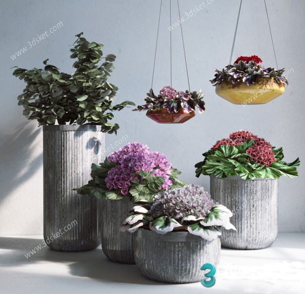 3D Model Indoor Plants Free Download 094