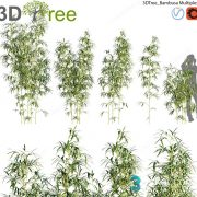 3D Model Outdoor Plants Free Download 036