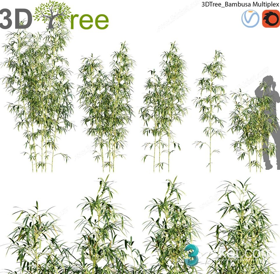 3D Model Outdoor Plants Free Download 036