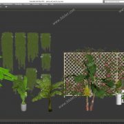 3D Model Outdoor Plants Free Download 040