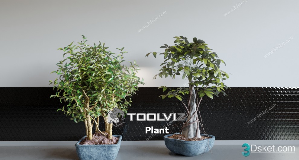 3D Model Indoor Plants Free Download 004