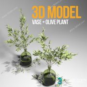 3D Model Outdoor Plants Free Download 042