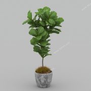 3D Model Tree Free Download T011