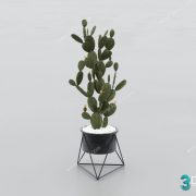 3D Model Tree Free Download T012