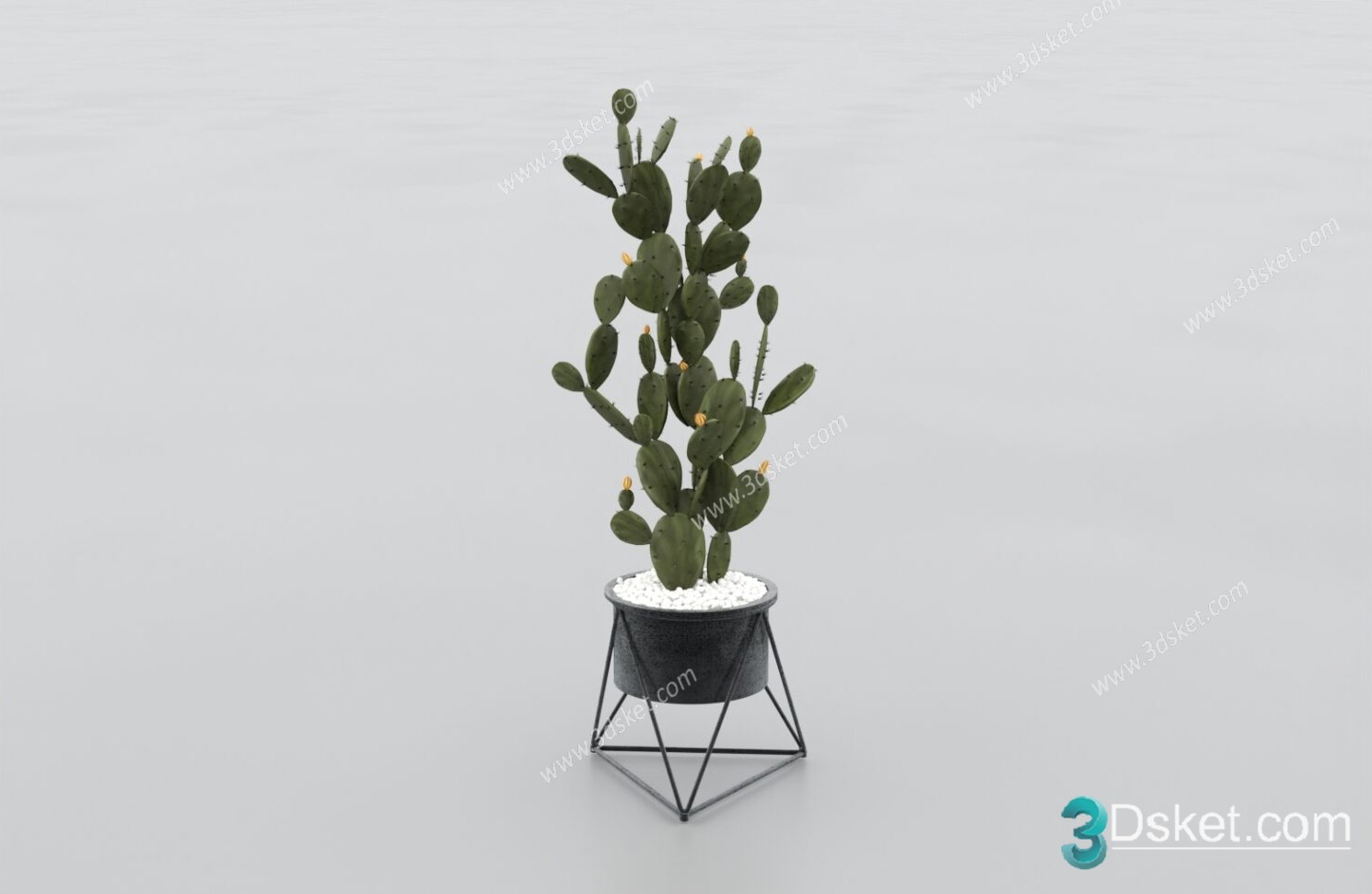 3D Model Tree Free Download T012