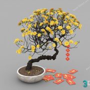3D Model Tree Free Download T013 Cây Mai