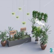 3D Model Tree Free Download T015
