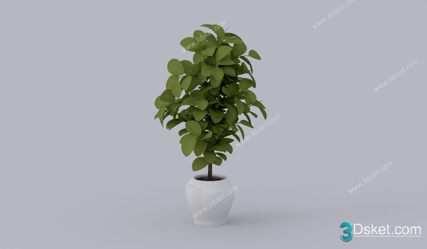 3D Model Tree Free Download T017