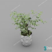 3D Model Tree Free Download T020