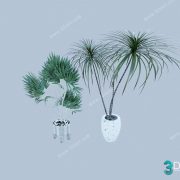 3D Model Tree Free Download T024