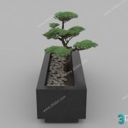 3D Model Tree Free Download T025
