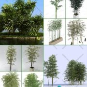 3D Model Outdoor Plants Free Download 045