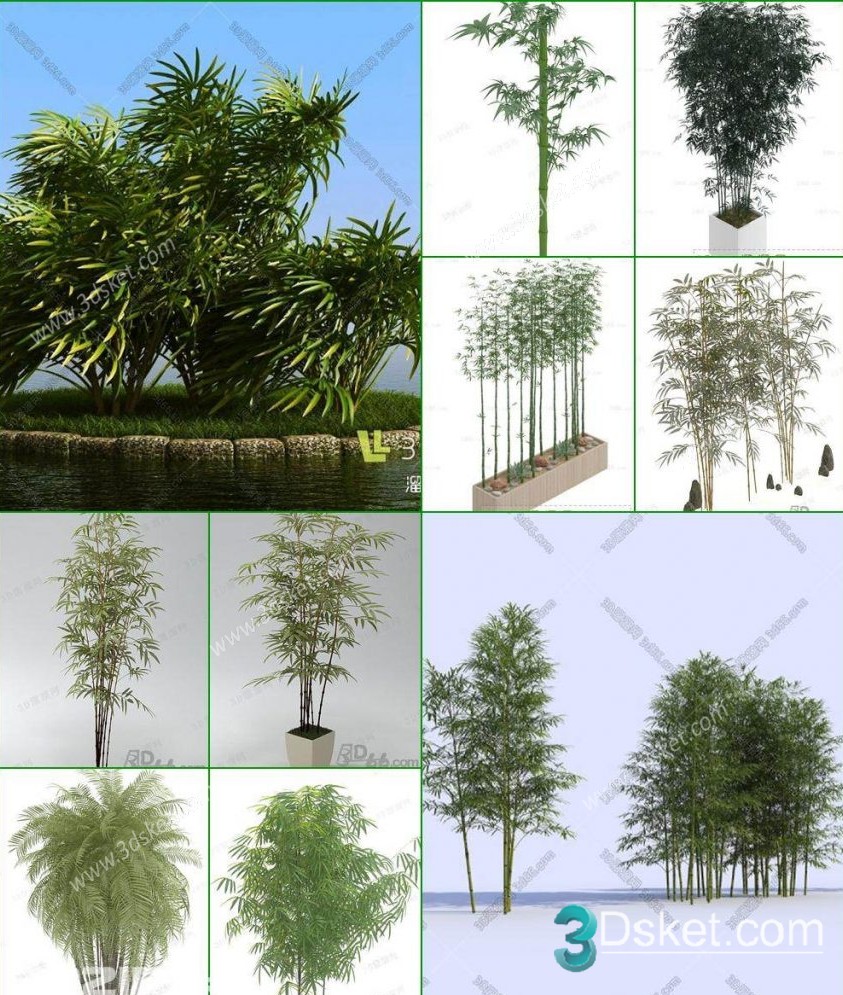 3D Model Outdoor Plants Free Download 045