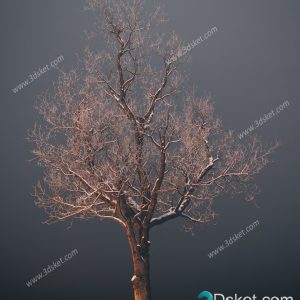 3D Model Outdoor Plants Free Download 062
