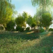 3D Model Outdoor Plants Free Download 065