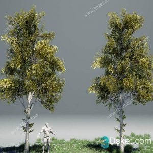 3D Model Outdoor Plants Free Download 068
