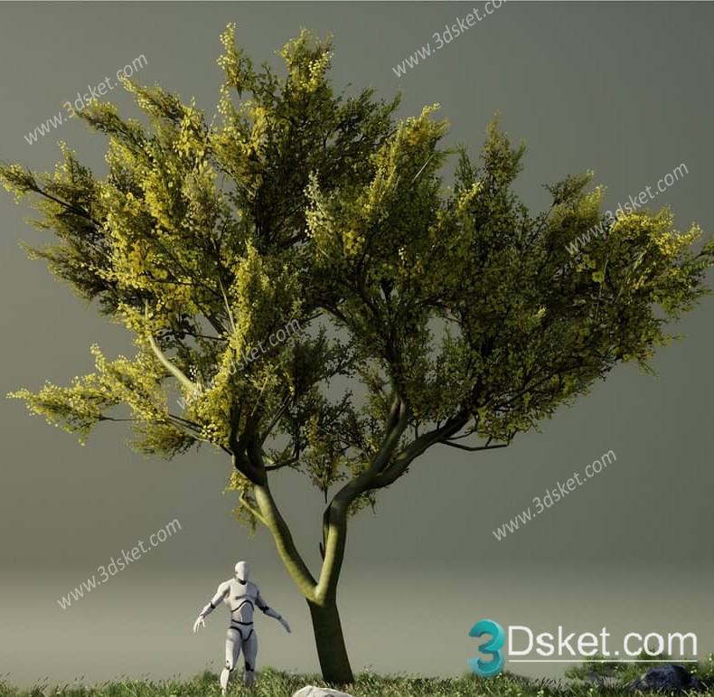 3D Model Outdoor Plants Free Download 068