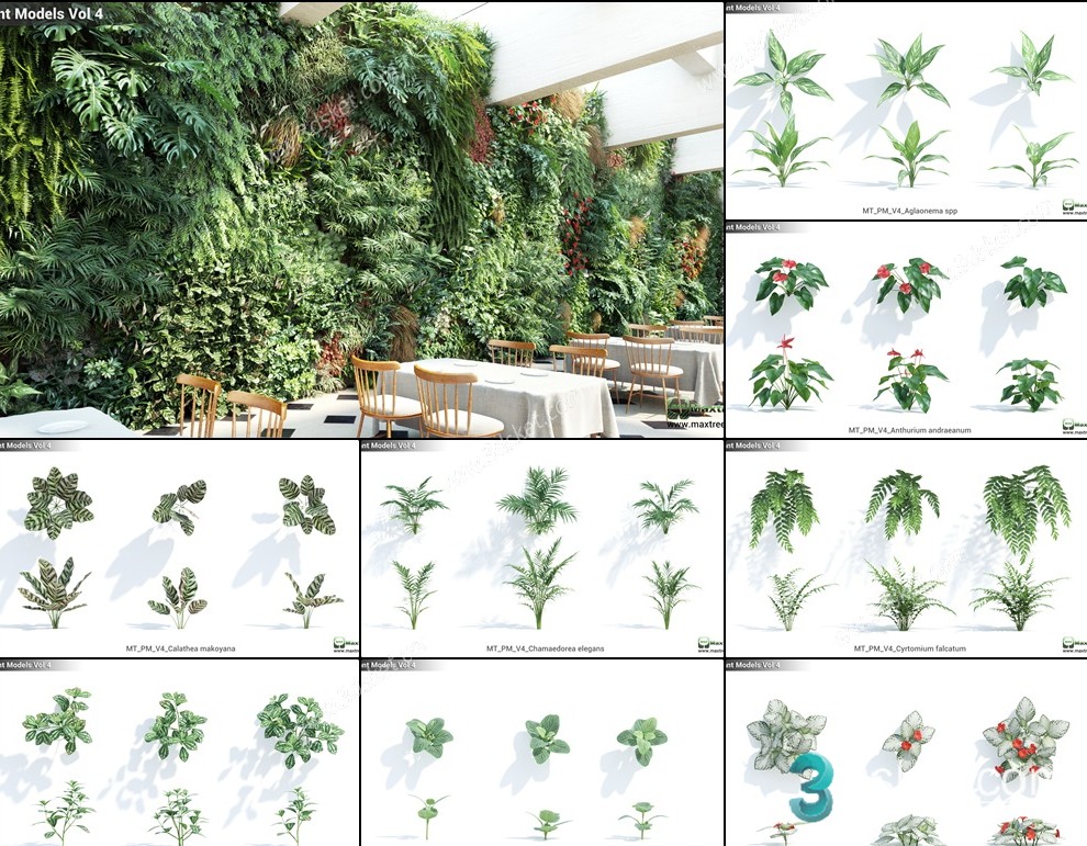 3D Model Outdoor Plants Free Download 079