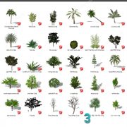 3D Model Outdoor Plants Free Download 083