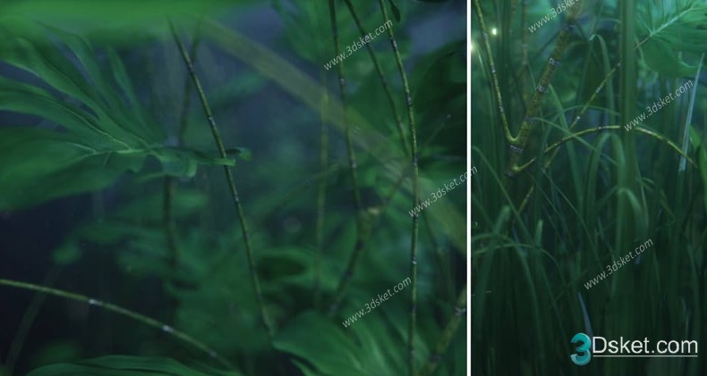 3D Model Outdoor Plants Free Download 061