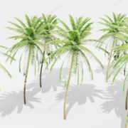 3D Model Outdoor Plants Free Download 078