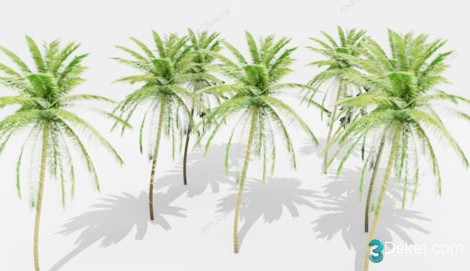 3D Model Outdoor Plants Free Download 078