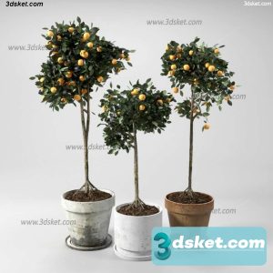 3D Model Holiday Free Download 055