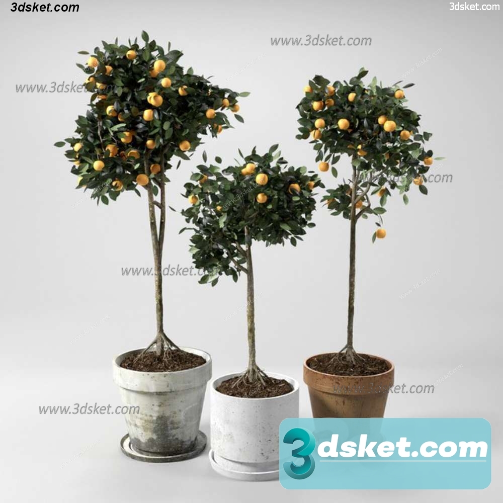 3D Model Holiday Free Download 055