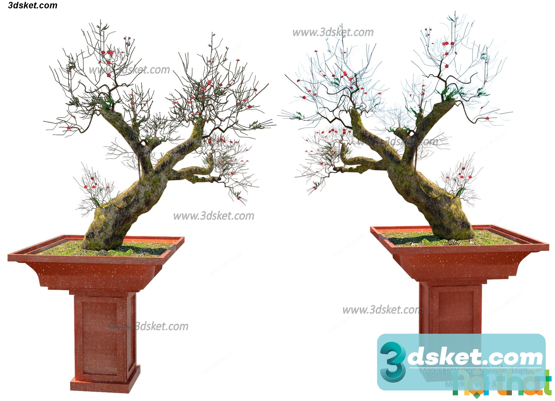 3D Model Holiday Free Download 057